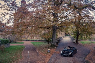 DJI_0331_1_SMALL.jpg