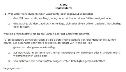 Kopie von neu-3.jpg