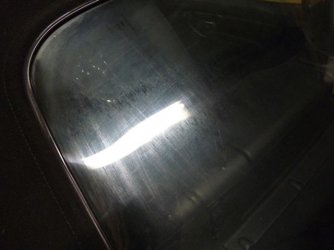 P1010061.jpg