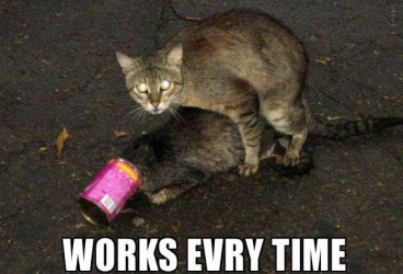 works every time.jpg