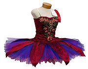 180px-Colourful_ballet_tutu.jpg