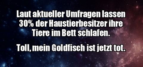 1Unbenannt - Kopie.JPG
