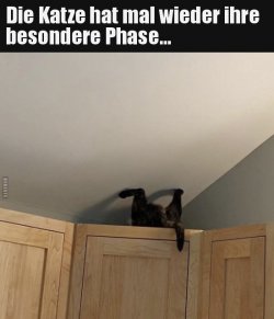 A85138D9-902C-4D2D-A0EC-716884E28C83.jpeg
