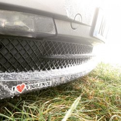 frozengrey.jpg