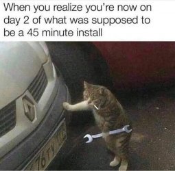 353830DD-FD4A-4034-BFCD-6CF9B84C1B0E.jpeg