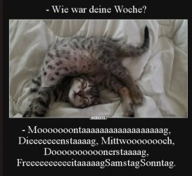 Die Woche.JPG
