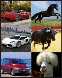 1637221511472.png