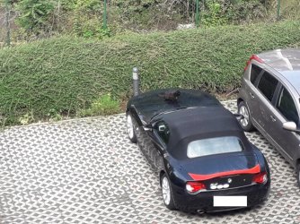 20200727_094736 - Kopie.jpg