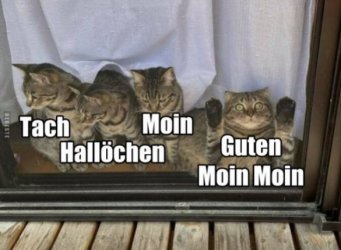 Moin, Moin.JPG
