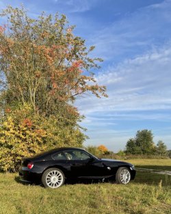 Z4 Coupe Herbst.JPEG