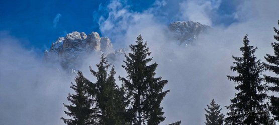 20211123_120111[1].jpg