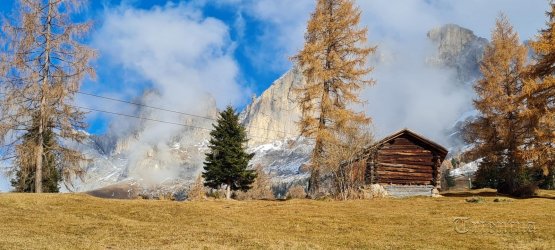 20211123_124904[1].jpg