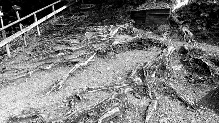 20210818_114647.jpg