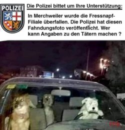 1637867832440.jpeg