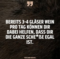 AA3C9BD8-D87B-4855-B3A3-B432D7152CA1.jpeg
