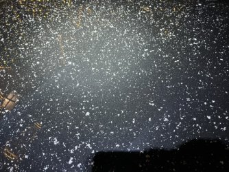 042280D7-D065-4FD2-BA97-19D8C2DF932E.jpeg