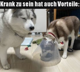 tUnbenannt - Kopie.JPG