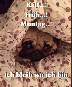 Montag.PNG
