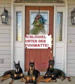 tUnbenannt - Kopie.JPG