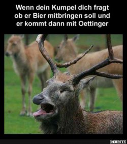 oettinger.jpg