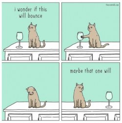 B015E85B-614D-40A3-B2C9-F1DA64EB58F6.jpeg