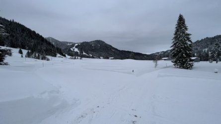 0FF994B2-0826-4D35-807D-48126E257C8A.jpeg