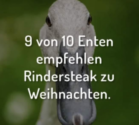 1640008972579.png