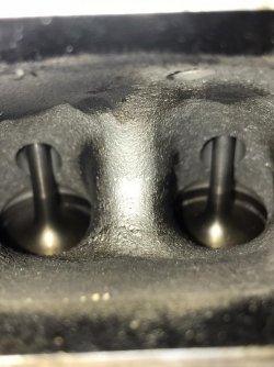 PHOTO-2021-07-10-17-11-41 2.jpg