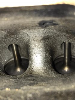 PHOTO-2021-07-10-17-11-42 2.jpg