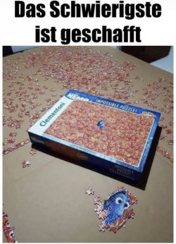 E2E25788-20BE-4FEA-AD20-E719B9C25E49.jpeg