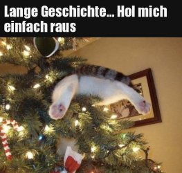 D997CEF6-E482-467C-9976-EE569E5F9C29.jpeg