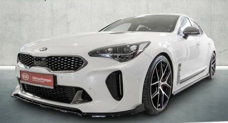 Stinger front.JPG