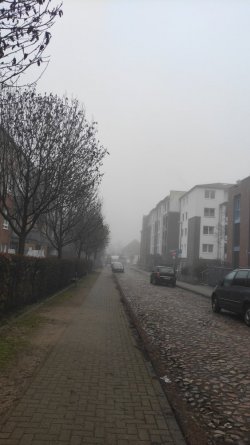 IMG-20211229-WA0014.jpeg