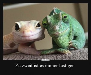 0CF721F8-975B-4B79-967A-77E3CEF8EBEA.jpeg