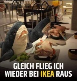 C550EE96-A28E-4C2E-AD25-E0473E2B613B.jpeg