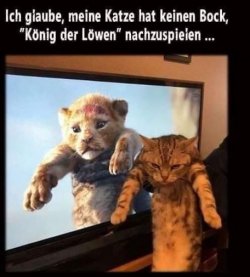 tUnbenannt - Kopie.JPG