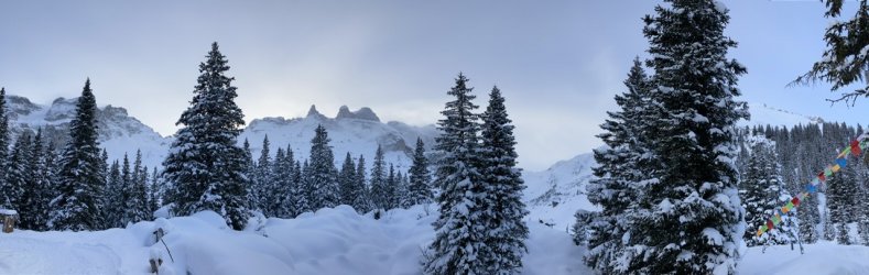 524C7B70-1E3C-47CA-B2E0-530C527B3599.jpeg