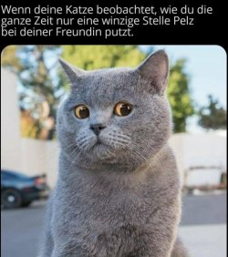 6Unbenannt - Kopie.JPG