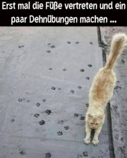 tUnbenannt - Kopie.JPG