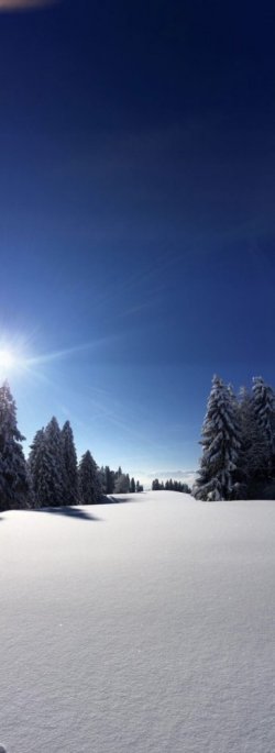 8D24F41B-0E19-4256-A6EC-DF159D3933A7.jpeg