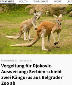 14Unbenannt - Kopie.JPG