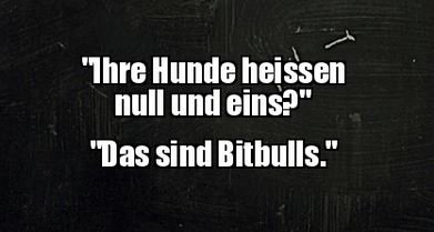 14Unbenannt - Kopie.JPG
