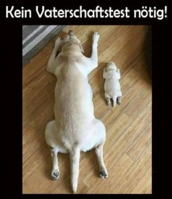 tUnbenannt - Kopie.JPG