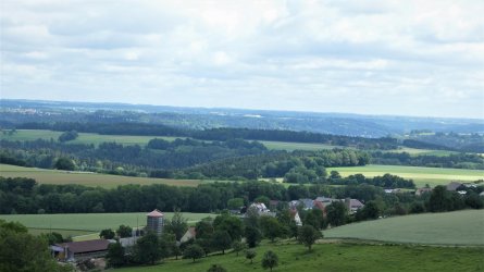 P1000371 k1.jpg P1000371 k1.jpg