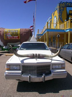 car-hood-bonnet-longhorn-langhorn-rinderhoerner-motorhaube-auto-big-texan-steak-ranch-house-stea.jpg