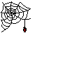 spider.gif