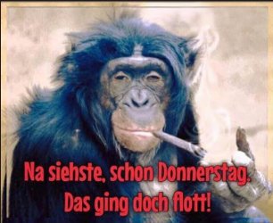 Donnerstag.JPG