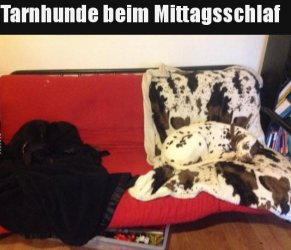 tUnbenannt - Kopie.JPG