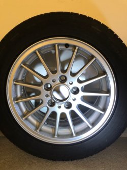 IMG_5965.jpeg