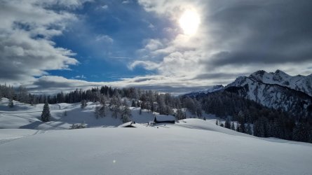 F6A16585-6774-4E3F-B8CA-D1E91A4C67F1.jpeg